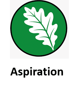 Aspiration