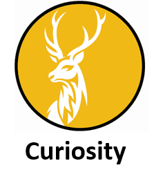 Curiosity